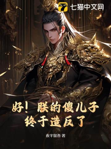 权力巅峰之我不是青天免费阅读