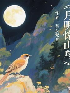 佣兵的我却是变成银发美少年 消炎药布丁