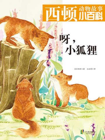 重生后官路商途