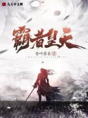 领导的司机一般称呼什么