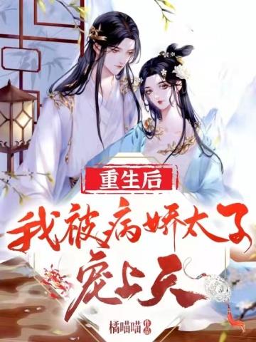 岳先生零食简介