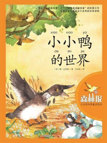 癌症三年后我死了他疯了温念