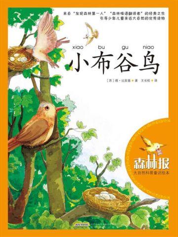 骷髅dt