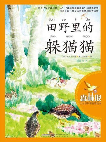 一堆骷髅