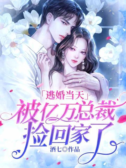 侠盗是谁演的