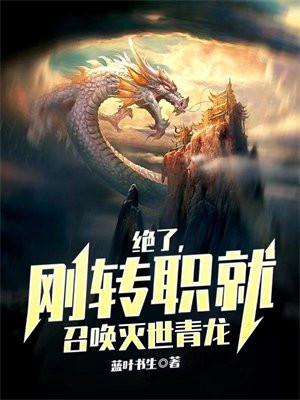 我的属性无上限王奇