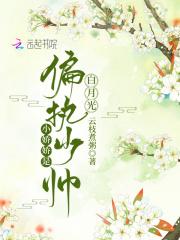 水豚什么意思
