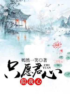 甄嬛传之重生鹂妃