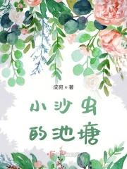 权路风云