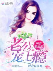 圣医下山丁小当免费阅读