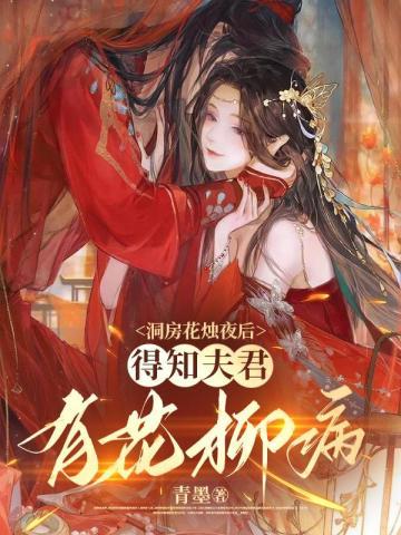 明月光辉光环