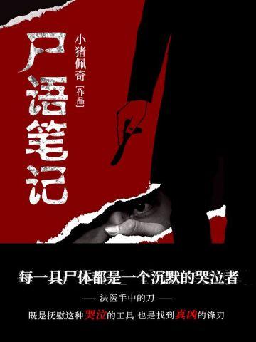贺景承沈清澜全文免费阅读