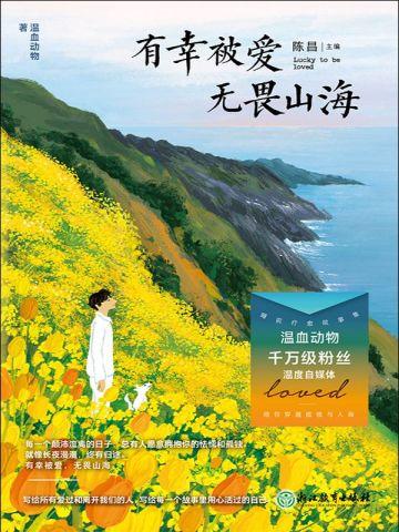 圣医下山免费