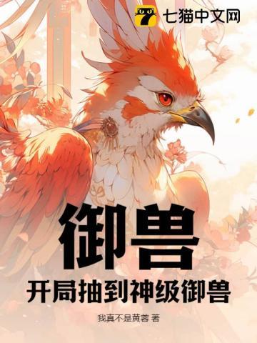 弓箭伤害低