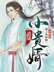 齐娇与何启
