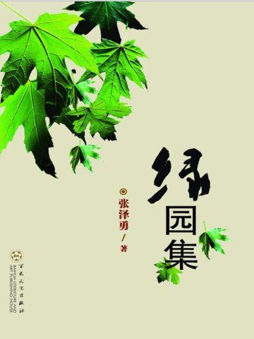 站在宝可梦之巅TXT