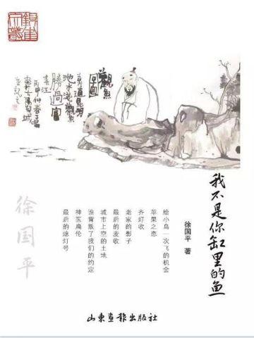 精灵宝可梦战斗视频