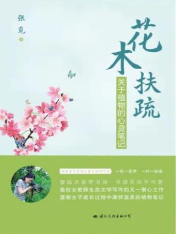 娜美在船上的地位