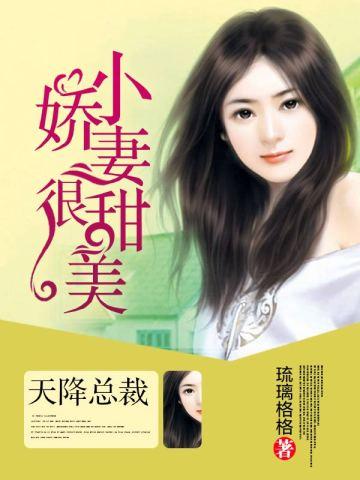沈青玫降初嘉措结局