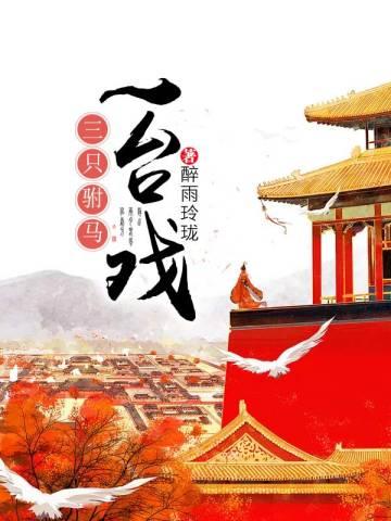 沈青玫降初嘉措沈静姝名字