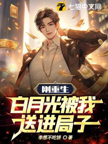 这个北宋有点怪免费阅读