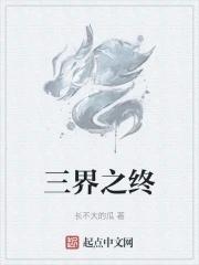 变形金刚中的精灵