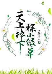 树的自白