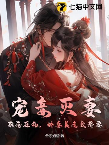 亮剑整个晋西北全乱了第几集