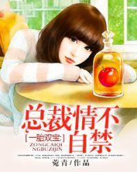 夫人总想气我电视剧免费观看