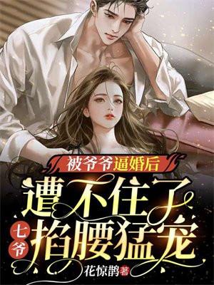 夫人总想气我全集