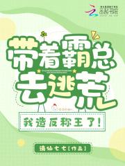 十七世纪风云录