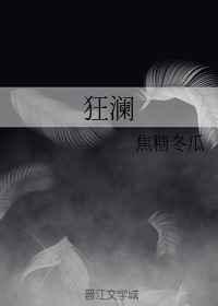 林凡李晓峰琳姐