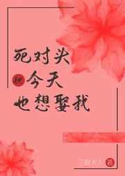二婚再嫁的