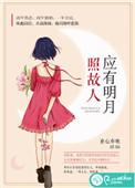 主角叶昭昭