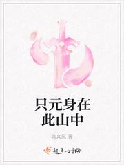 叶凛沈昭的