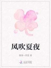 南锣鼓巷事件