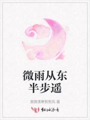 第一宠婚 茶衣