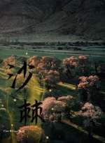 下山后才知道我无敌了免费阅读
