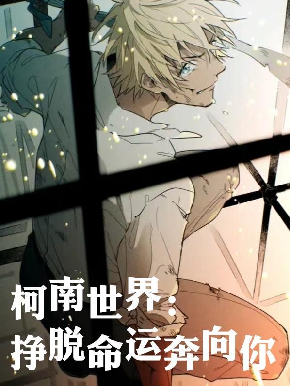 四合院之贾家