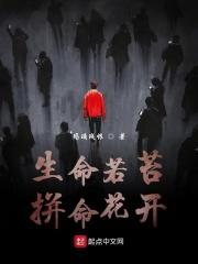 外貌协会是啥意思