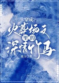 护国狂龙叶无极