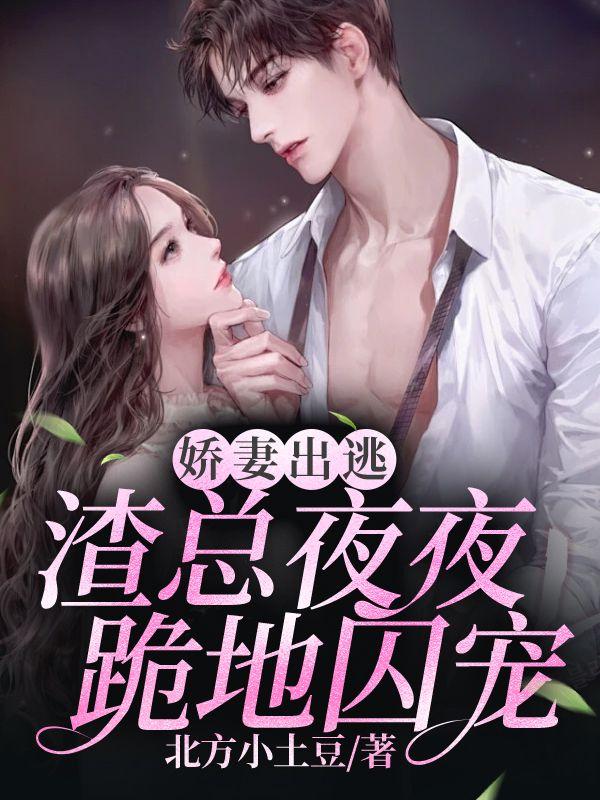 四合院开局贾家赔了夫人又折兵全集免费