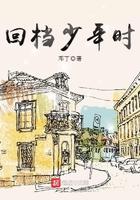 四合院开局贾家赔了夫人又折兵TXT免费
