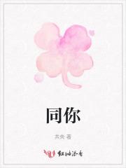 港综从九龙城寨开始无防盗