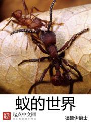 反派师尊记忆曝光