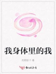 王中王火腿肠270克价格