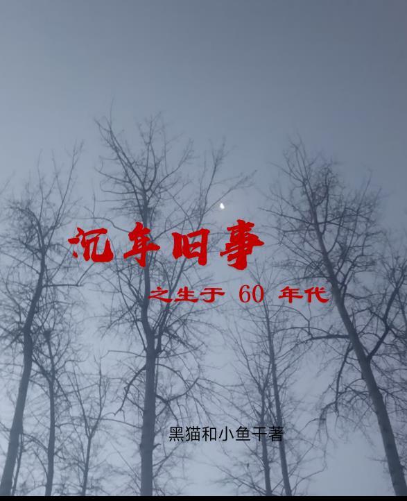 开局假冒