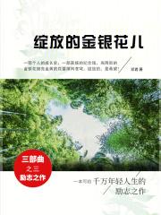 外公的菜园优秀作文
