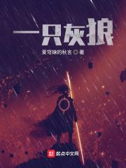四合院里的火车司机笔趣阁