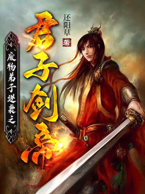 亮剑打平安县城